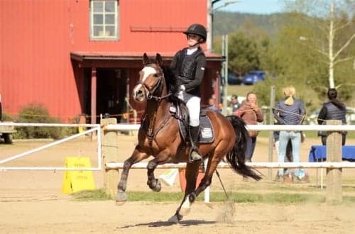 Profilbild av Smilla Wärnelius