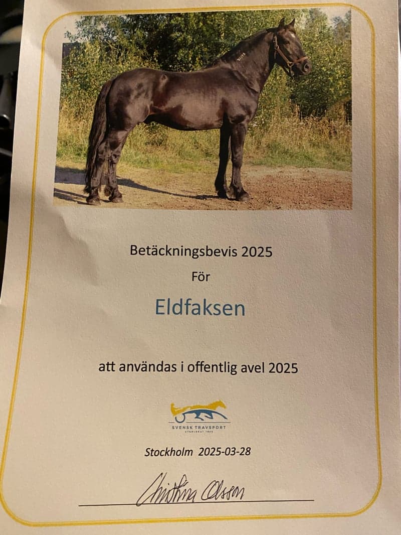 Bild 3 av placeholder text