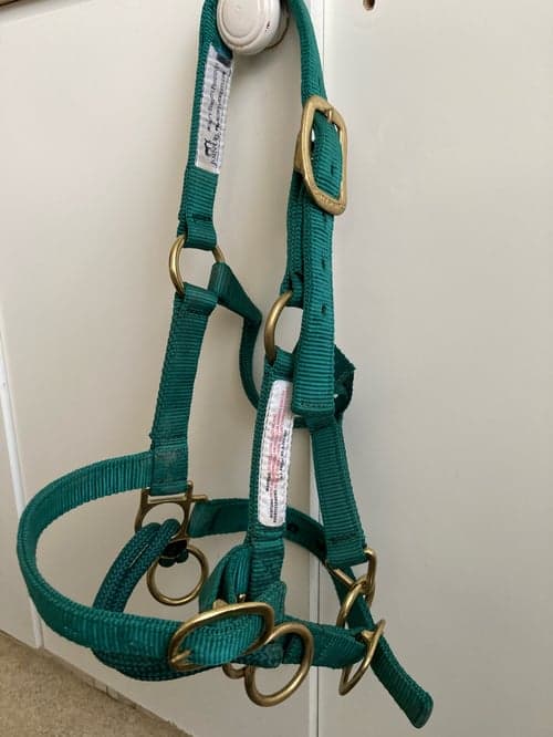 Bild av Duallygrimma - monty Roberts 