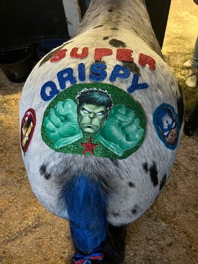 Inlägg 1 av Galopp med titeln Hästarnas mästare🏇🏼