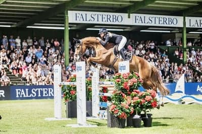 Post 3 of Hanoverian