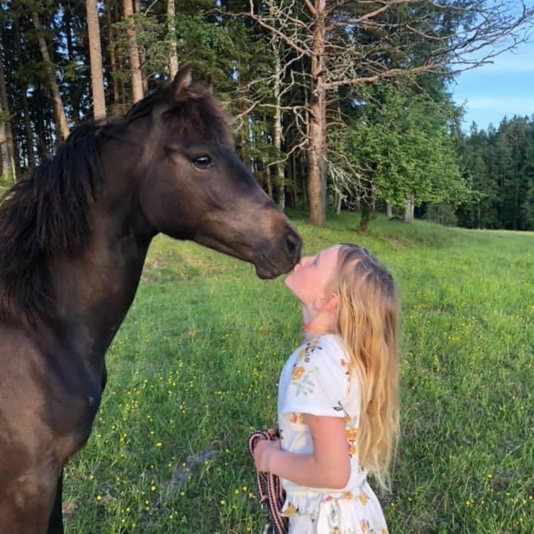 Bild 1 av Poetic’s miss Hailey