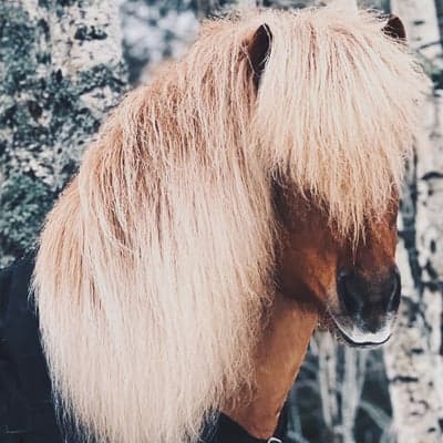 Inlägg 115 av Allround med titeln Baldvin❤️‍🔥😍