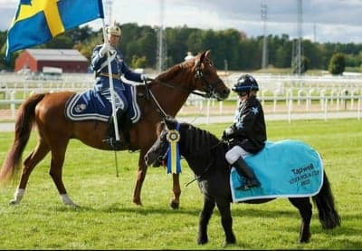 Inlägg 81 av Galopp med titeln Tapwell 