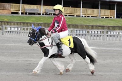 Inlägg 19 av Monté med titeln Monte 