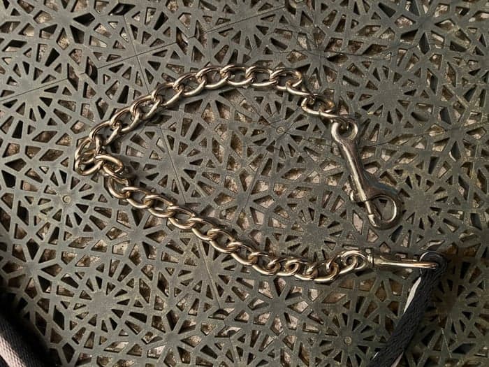 Media 4 av Blått grimskaft