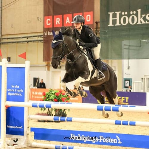 Profilbild av Jolin Levén