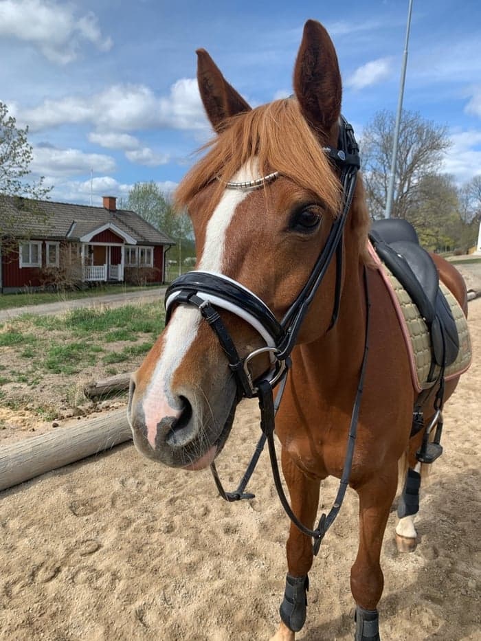 Media 1 av Mi Belleza