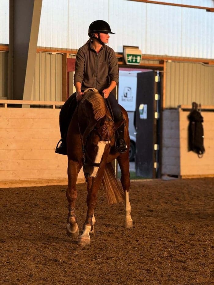 Media 2 av Inridning/tillridning – från D-ponny till häst