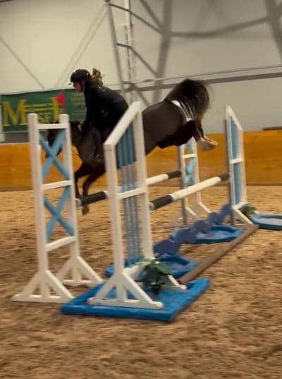 Inlägg 3 av Welshponny med titeln Hoppträning