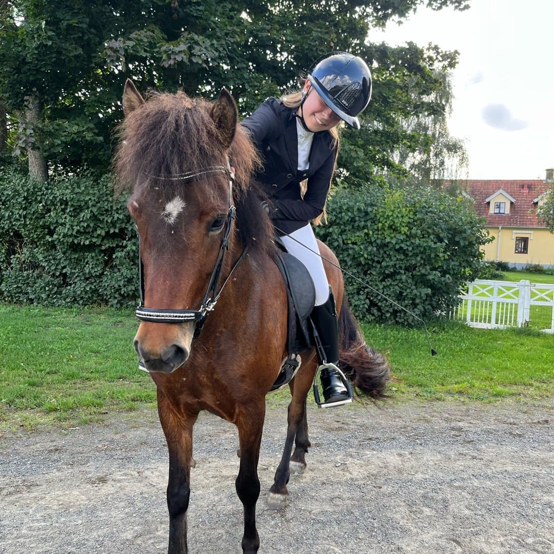 Bild 1 av Björk från ingemanslycka