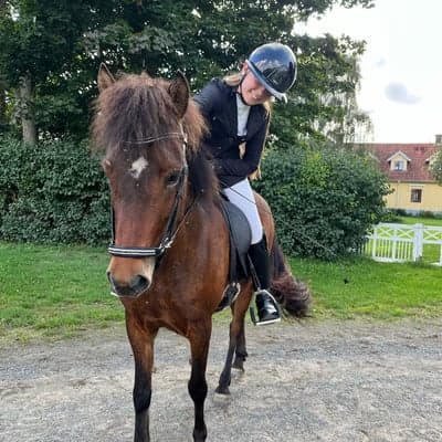 Björk från ingemanslycka