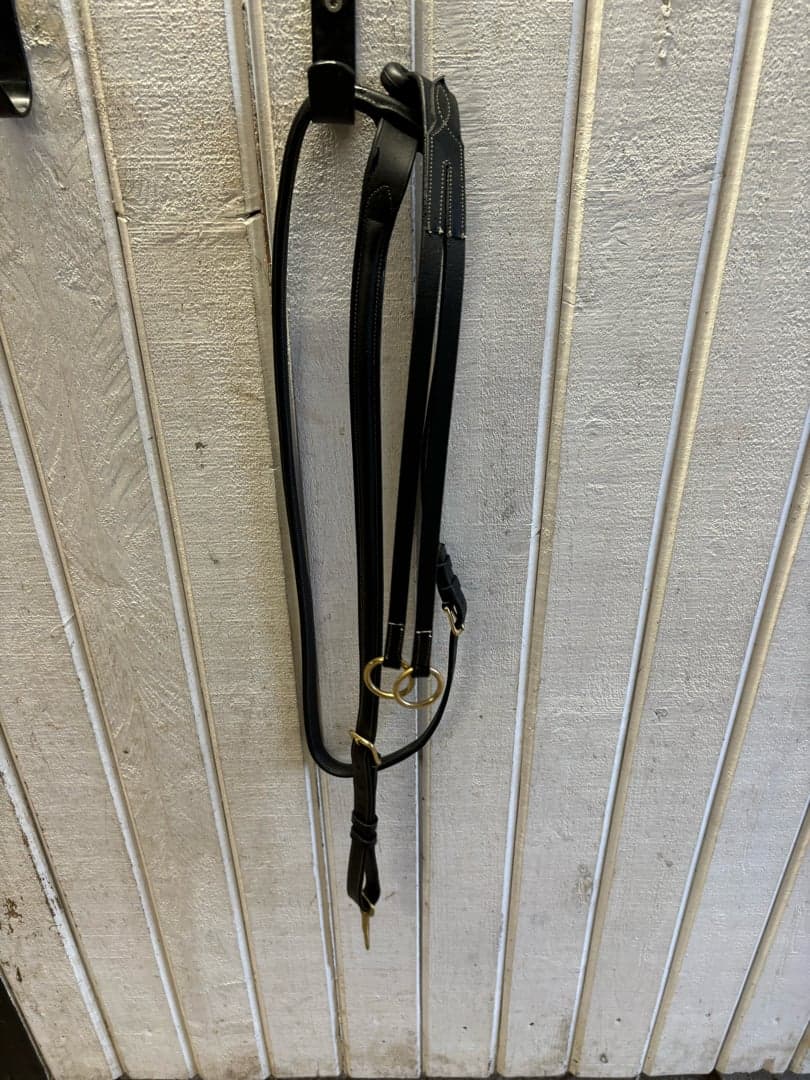 Bild 1 av Martingal, Jacson Cincinatti