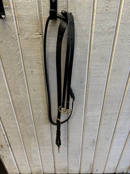 Bild av Martingal, Jacson Cincinatti