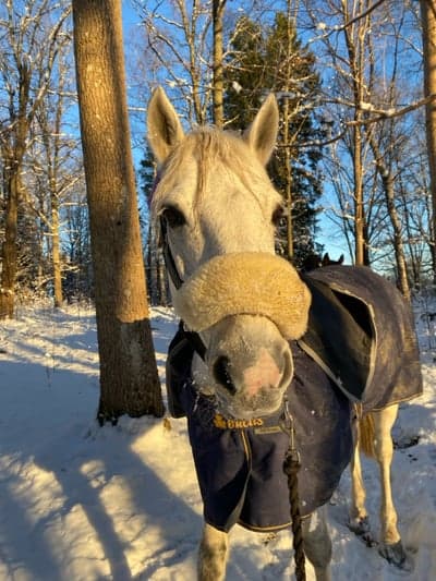 Inlägg 8 av Allround