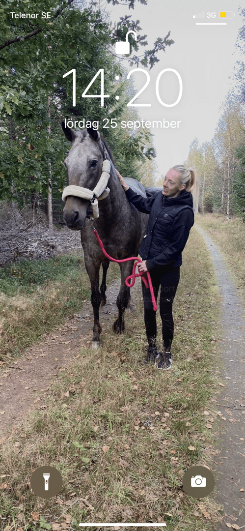 Bild 1 av Cat’s XQ’s Me