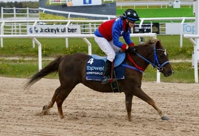 Ponnygalopp 
