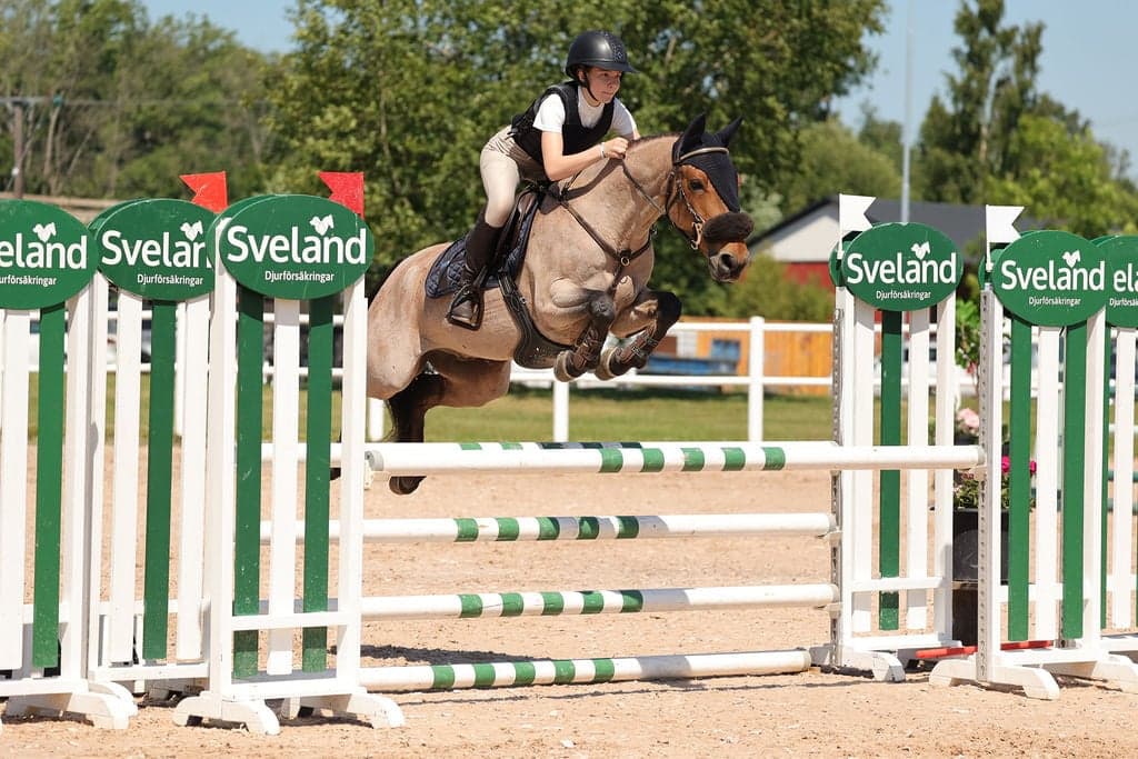 Image 1 of Gypsy boy