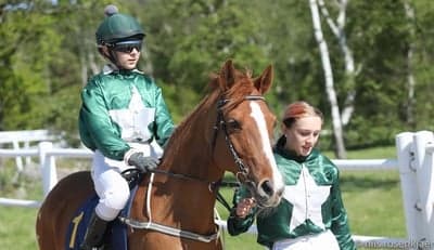 Inlägg 16 av Galopp med titeln Nova flyttar till oss🥰
