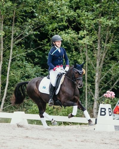 Inlägg 18 av Dressyr med titeln SM-Brons