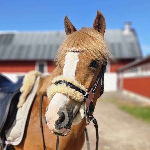 Profilbild av Meija Andersson
