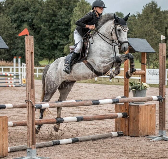 Media 1 av Ashwood Dream