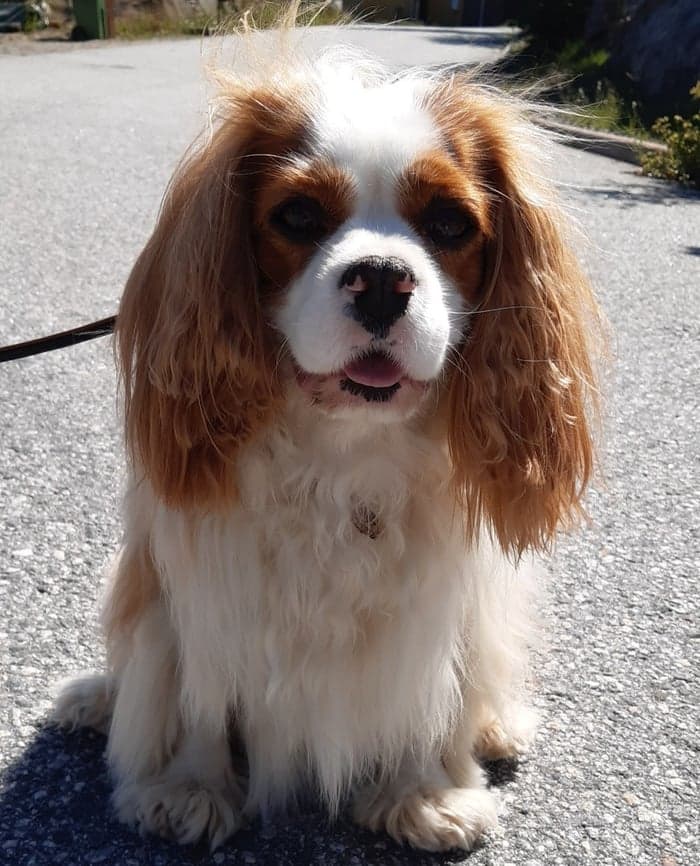 Media 1 of Ellen - NoControl