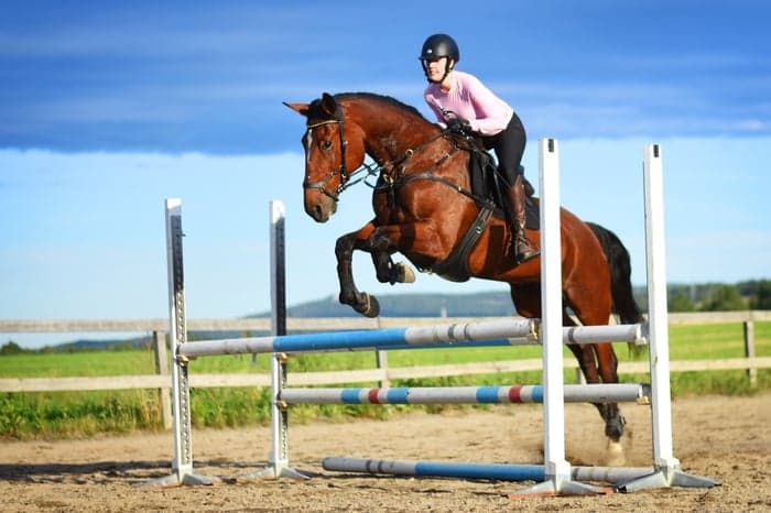 Media 1 av Sigge Star