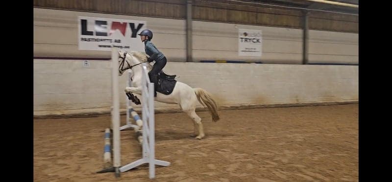 Bild 3 av Sniberups's Smultron