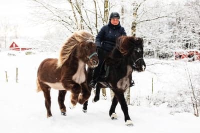 Inlägg 10 av Island