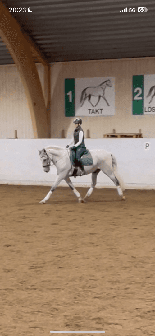 Media 2 av Mezcalero