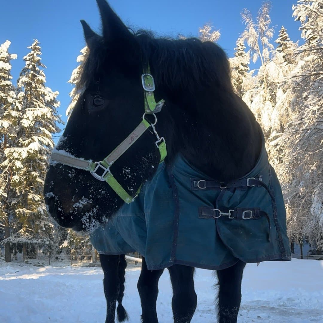 Bild 1 av Arthur "ärtan"