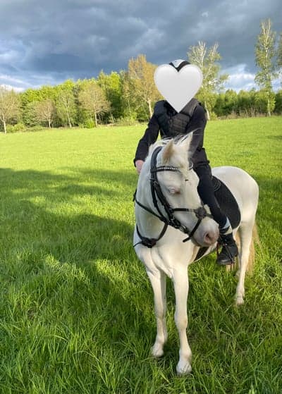 Pixi njuter på fältet! 