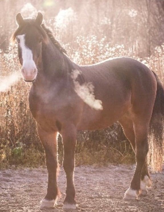 Media 1 av Lill Ivar