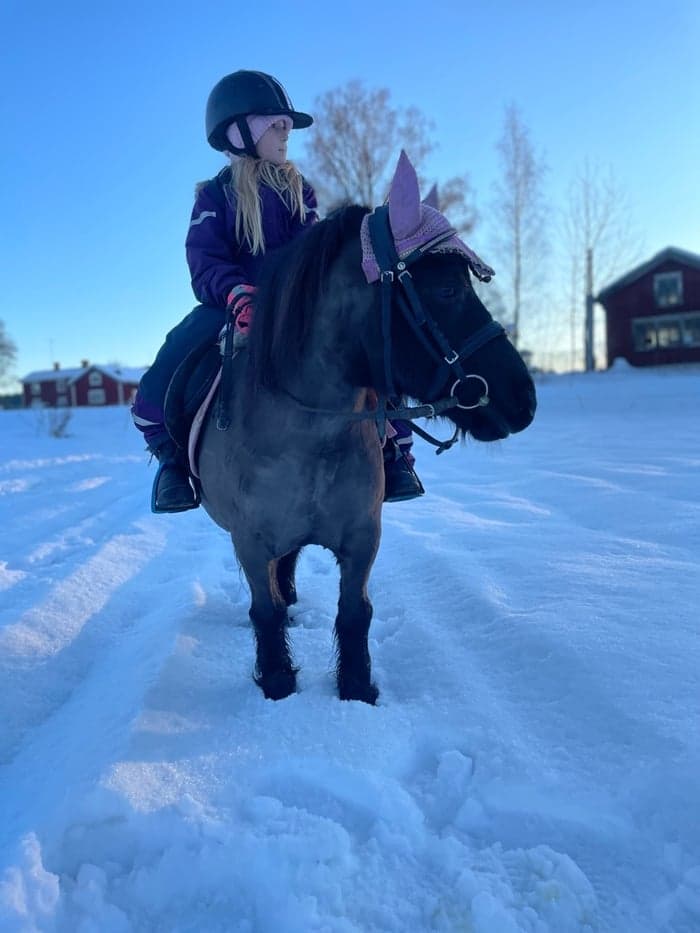 Media 1 av Gullmyras Bonzit