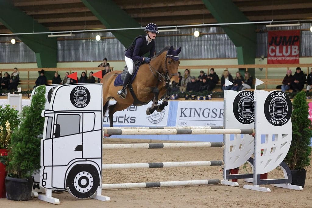 Image 1 of Ballinaclogh Lady Lou