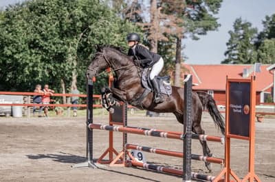 Inlägg 8 av Allround med titeln Loppan 🤩