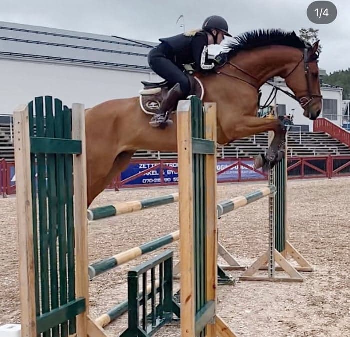 Media 1 av SS Ratchet