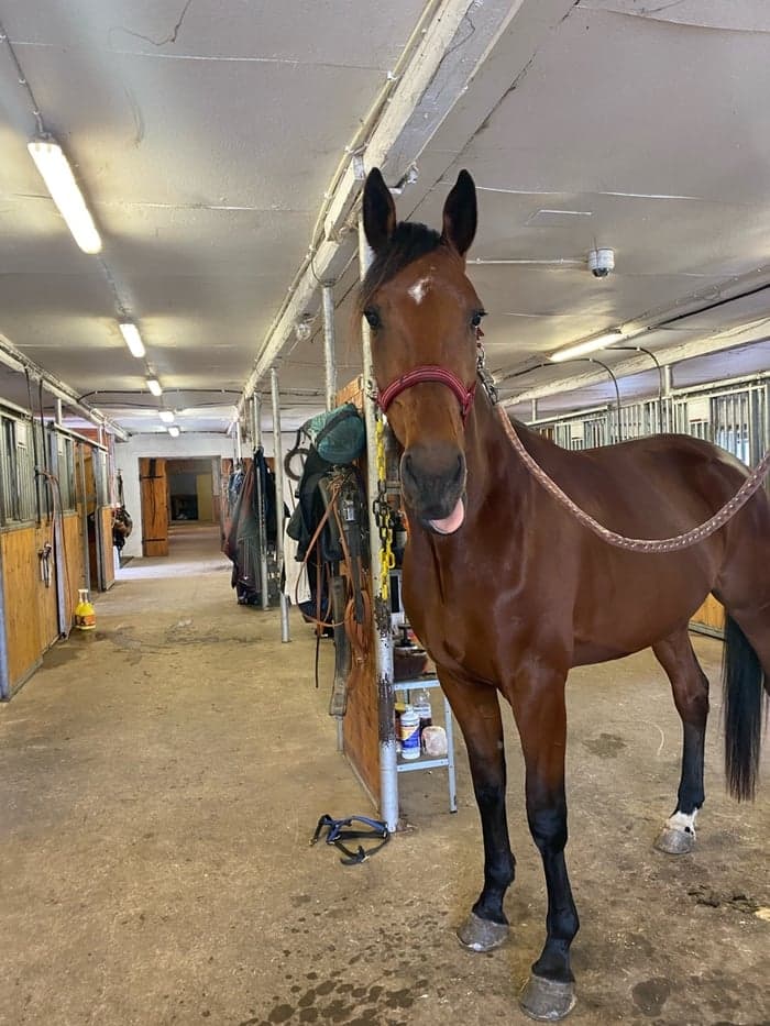 Media 1 av Irwin Journey