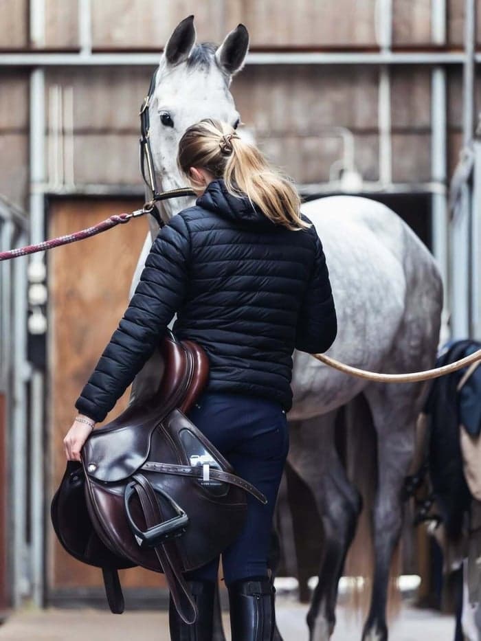 Media 5 av Inridning/tillridning – från D-ponny till häst