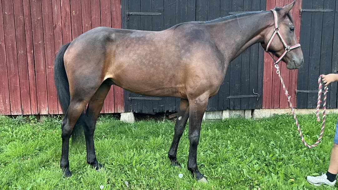 Bild 1 av Stark In The Dark