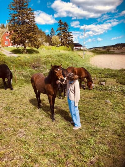 Inlägg 75 av Allround