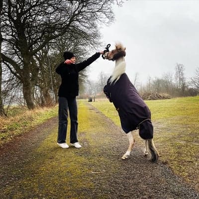 Inlägg 6 av Allround