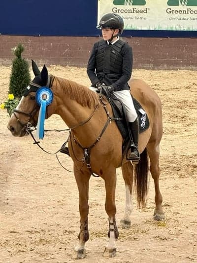 Post 3 of Belgian Warmblood with title children SM omgång 1 inverkansridning 