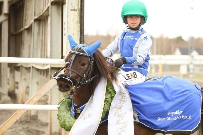 Media 6 av Månstorps Tuffing