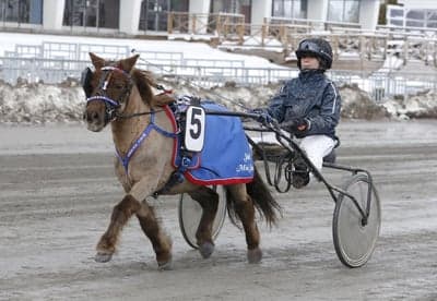 Inlägg 83 av Trav med titeln Ponnytrav 
