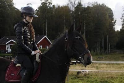 Inlägg 5 av Kallblodstravare med titeln Hoppträning