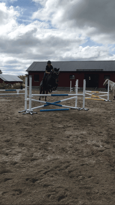 Inlägg 117 av Allround med titeln Hoppträning😍