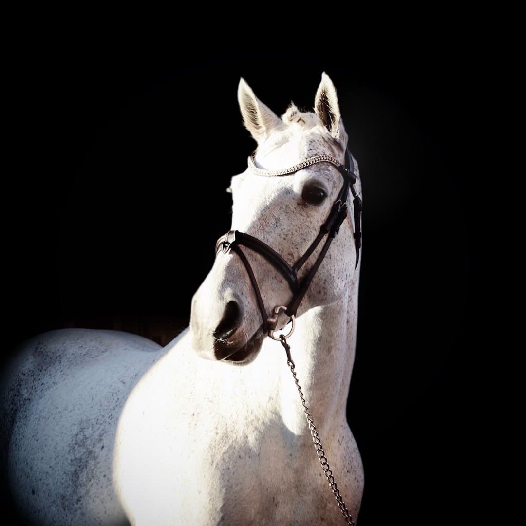 Image 1 of Attyrory Silver