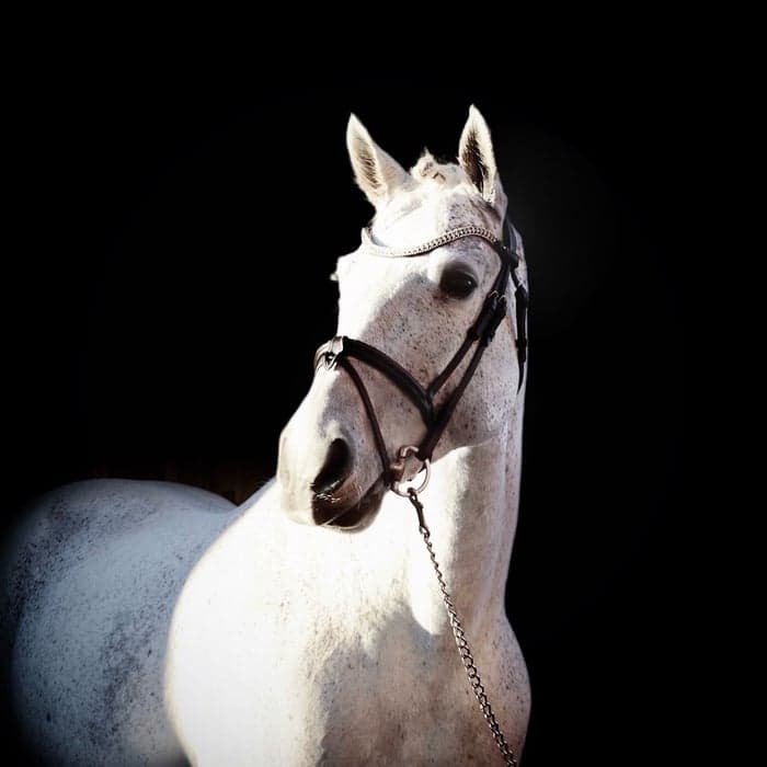Media 1 of Attyrory Silver